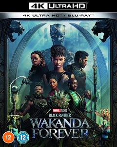 ‘Black Panther: Wakanda Forever’ (2022) has heart, not enough soul
                       