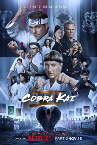 Teen TV looks to the past with ‘Cobra Kai,’ ‘Hysteria!,’ ‘Cruel Intentions’
                       
