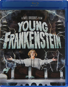 ‘Young Frankenstein’ (1974) among the best – and funniest – adaptations of the classic novel
                       